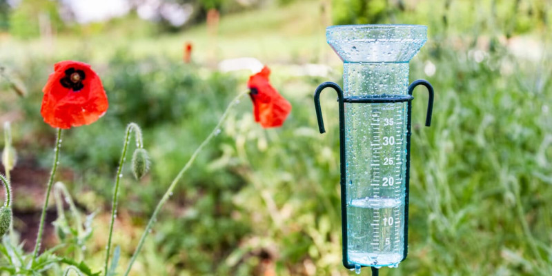 Comment un pluviomètre peut améliorer votre jardinage et vos récoltes
